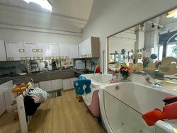 Primz Bizhub (D25), Factory #600118471